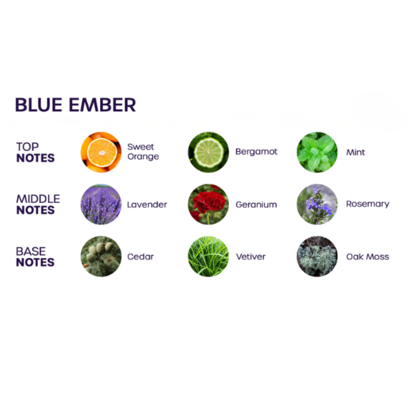 Bloom Deodorizing Pheromone Room & Body Spray