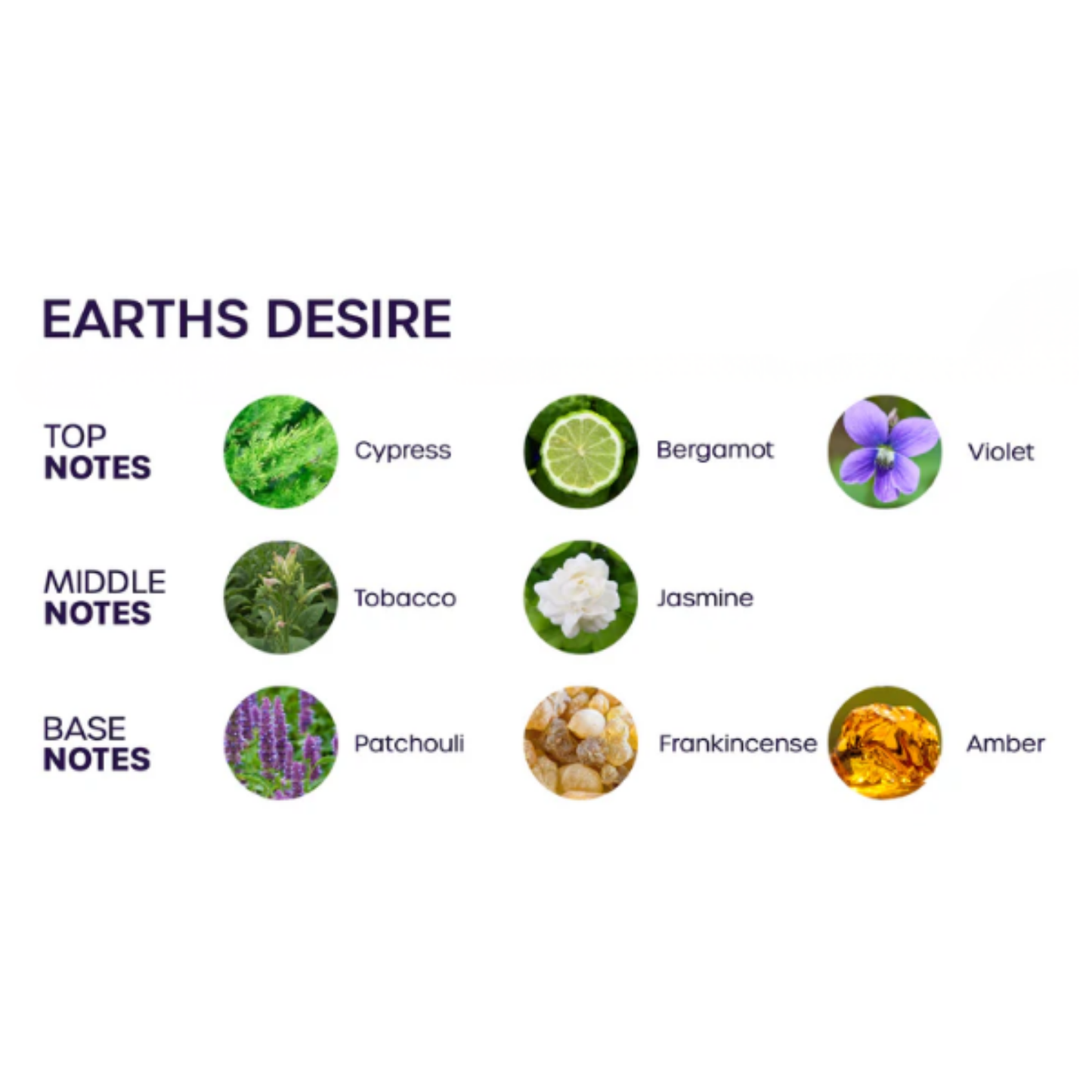Bloom Deodorizing Pheromone Room & Body Spray