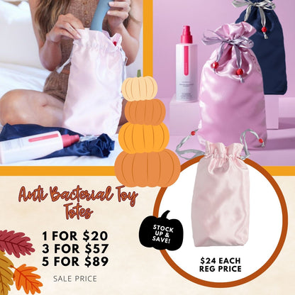 Toy Tote Antimicrobial, Antifungal Storage