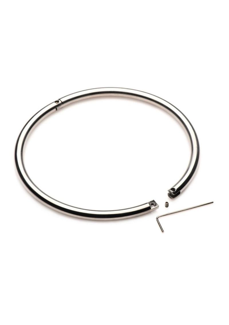 Master Series Possession Stainless Steel Locking Day Collar