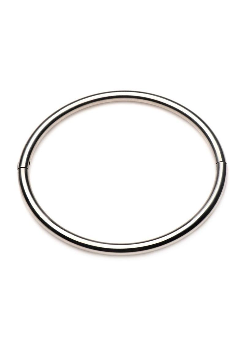 Master Series Possession Stainless Steel Locking Day Collar
