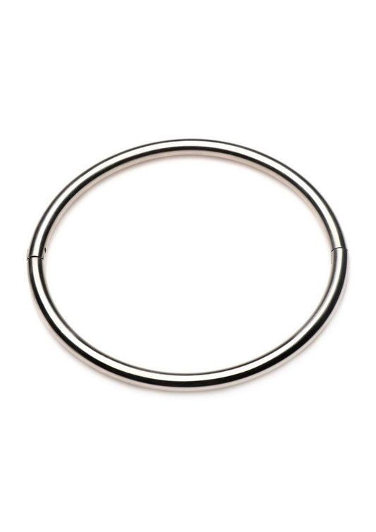 Master Series Possession Stainless Steel Locking Day Collar