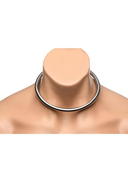 Master Series Possession Stainless Steel Locking Day Collar